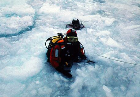 paul rose ice dive